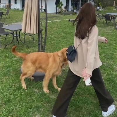 问簪